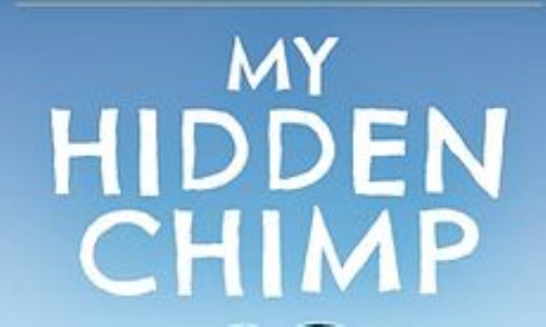 Watercliffe Meadow Community Primary School - Y4 & Y5 Hidden Chimp Workshop